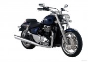 Triumph Thunderbird